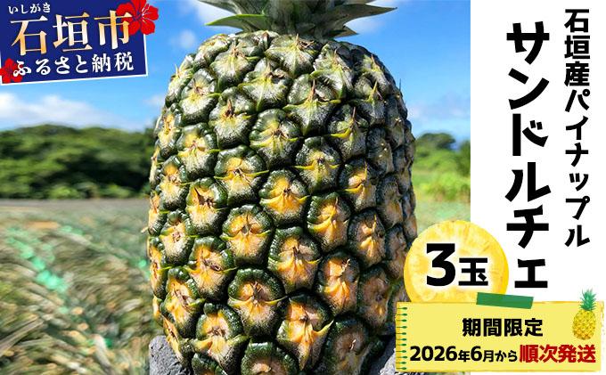 ＜先行予約＞ 石垣島産パイナップル サンドルチェ 3玉 (約3kg) ＜2026年6月上旬順次発送＞｜産地直送 沖縄 石垣 パイナップル パイン フルーツ トロピカル 南国