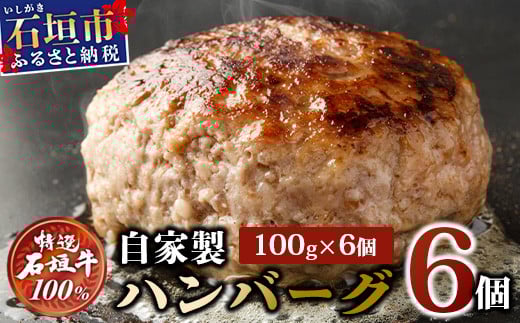 高級 黒毛和牛 石垣牛 100% 自家製 ハンバーグ 100g × 6個 600g　I-21