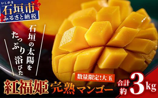 【2026年発送 先行予約】【数量限定】「紅福姫ブランド」石垣島のマンゴー 約3kg 【沖縄県 石垣市 産地直送 旬 石垣島産 マンゴー 完熟マンゴー アーウィン種マンゴー】OT-06 約3kg