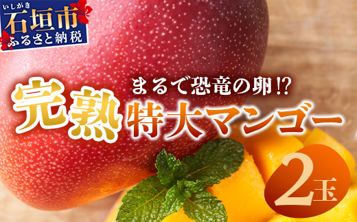 ひとつひとつ丁寧に玉吊りを行い、熟するときを迎えるまで丁寧に管理をします。