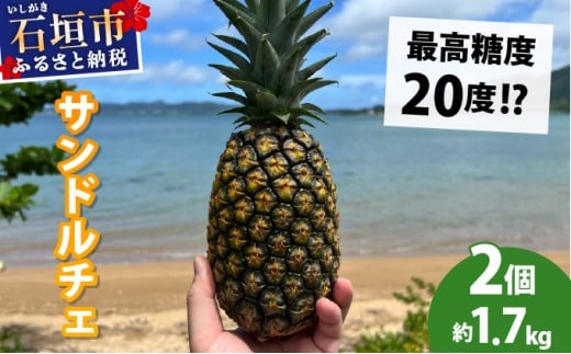 【先行予約2026年6月下旬から順次発送】最高糖度20度！？クリーミーな味わいが魅力の石垣島産完熟サンドルチェ 2個セット