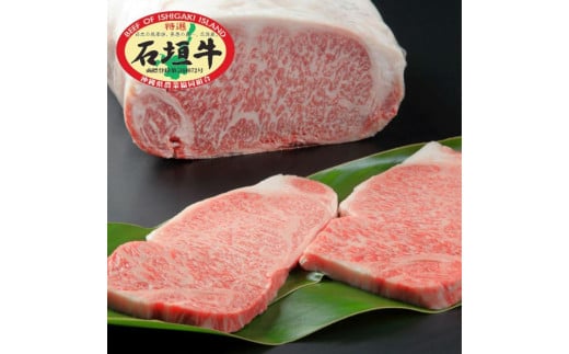 石垣牛 特選 サーロインステーキ 250g×2枚  沖縄県 石垣市 石垣島 サーロイン 牛肉 黒毛和牛 E-51