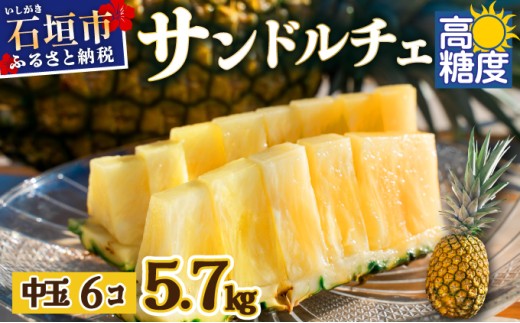 【先行予約】石垣島産 中玉サンドルチェ６玉 合計約5.7kg《2025年夏季 順次発送》【 沖縄 石垣 フルーツ パイナップル パイン サンドルチェ 産地直送 】SI-109 中玉 6個
