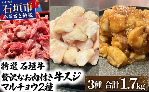 【2025年11月以降順次発送】特選石垣牛の牛スジとマルチョウ、秘伝の味噌味をご家庭で！！牛スジ500g、マルチョウ300ｇ×2、味噌味マルチョウ300ｇ×2のよくばりセット | 沖縄 石垣 牛スジ マルチョウ ホルモン 牛 肉 特選 黒毛 和牛 贅沢 秘伝 ミソ 味噌 家庭用 | IM-31 牛スジと2種マルチョウ大セット