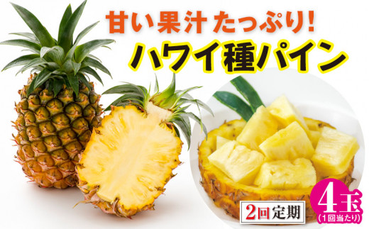 【予約受付】［2回定期便］ 石垣島産ハワイ種パイン (4玉×2回 合計8玉)【 産地直送 沖縄県 石垣市 期間限定 フルーツ パイナップル パイン パイン定期便】 ZH-25