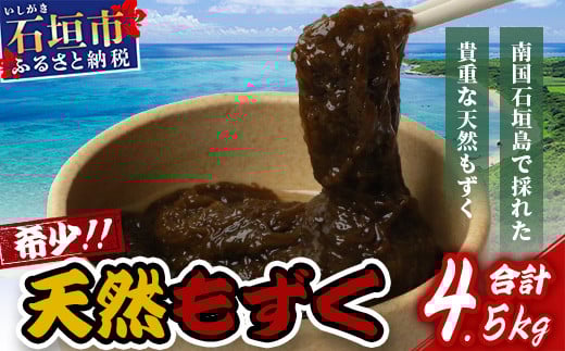 石垣島産天然もずく10パック・内容量450g×10 合計4.5kg | 沖縄県 石垣市 天然 水雲 海藻 もずく フコイダン 常温保存 塩もずく SI-64