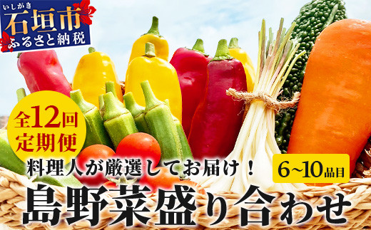 【定期便 12ヶ月】料理人が厳選した島野菜 (6～10品目×12回)  【 産地直送 野菜 野菜詰合せセット  やさい セット 詰め合わせ 冷蔵対応 沖縄県 石垣市 八重山 】 TM-8