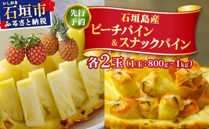 ＜先行予約＞ ピーチパイン スナックパイン 各2玉セット ＜2026年4月発送＞ | 沖縄県 石垣市 石垣島産 パイン パイナップル ZH-024