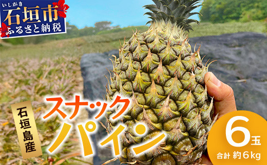 【先行予約】《2026年5月上旬頃より順次発送》石垣島産 スナックパイン (6玉 約6kg) 【 産地直送 沖縄 石垣 パイナップル パイン スナック フルーツ トロピカル 南国 】 TP-9-1 6玉（約6kg）