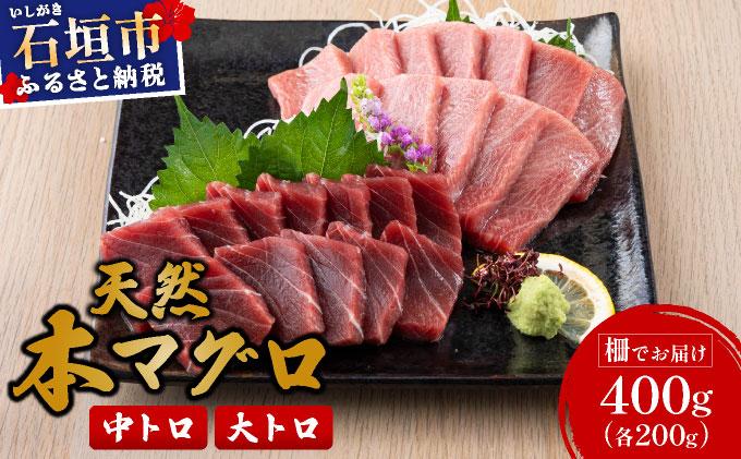 【数量限定】石垣島産 天然本マグロ 中トロ & 大トロ 約400g ヤエスイ マグロ船直送 ＜2025年6月下旬より発送＞ | 産地直送 大トロ 大とろ 中トロ 中とろ 国産 まぐろ 鮪 天然 赤身 魚 お刺身 本まぐろ マグロ 沖縄県 沖縄 琉球 八重山 八重山諸島 石垣島 石垣 石垣島産 <先行予約>中トロ&大トロ約400g