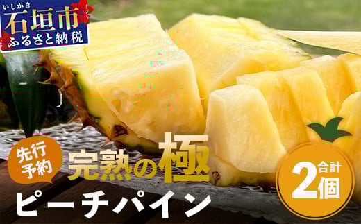 ひとつひとつ丁寧に玉吊りを行い、熟するときを迎えるまで丁寧に管理をします。