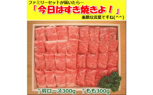石垣牛・すき焼きファミリーセット300g×2種 計600g もも+肩ロース 冷凍便 | 沖縄県 石垣市 牛肉 お肉 すきやき スキヤキ 鍋  SI-085