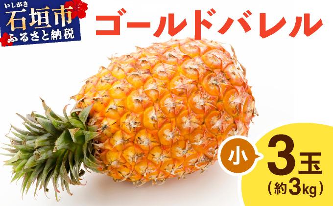 ≪5月上旬順次発送≫ゴールドバレル 小 3玉（約3kg） TP-15 ゴールドバレル 小 3玉（約3kg）