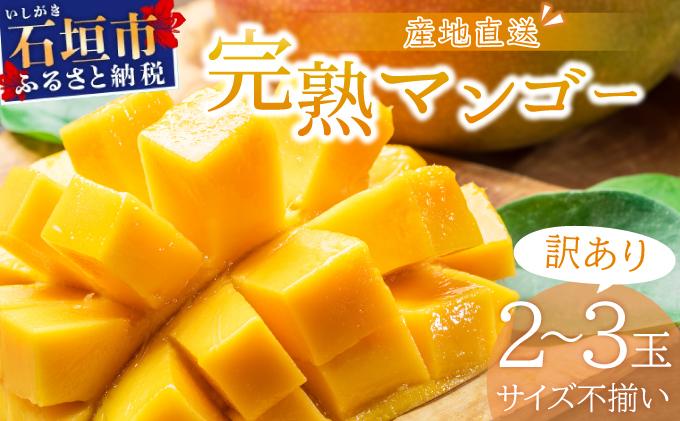 ＜先行予約＞【訳あり】マンゴー サイズ不揃い 2～3玉 (約1kg) ＜2026年7月上旬から発送＞ 訳あり品 マンゴー KP-26 2～3玉(1kg)　