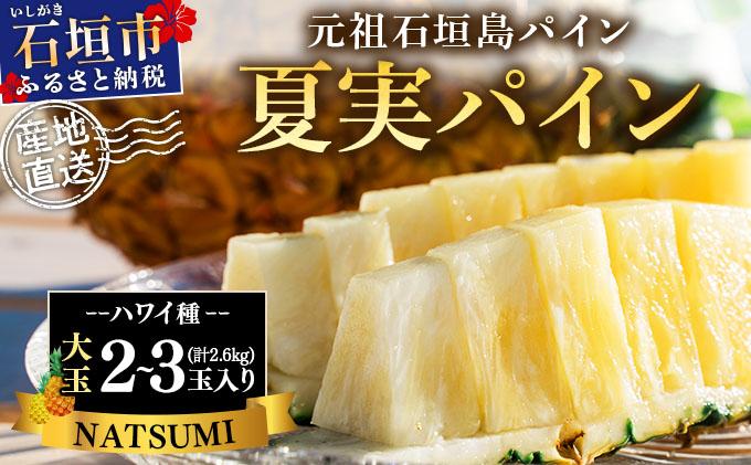 【先行予約】夏実パイン（ハワイ種）大玉2～3個 計2.6kg《2026年7月下旬発送》【 産地直送 沖縄 石垣 フルーツ パイナップル パイン ハワイ 夏実パイン 】SI-47 大玉2～3個 計2.6kg