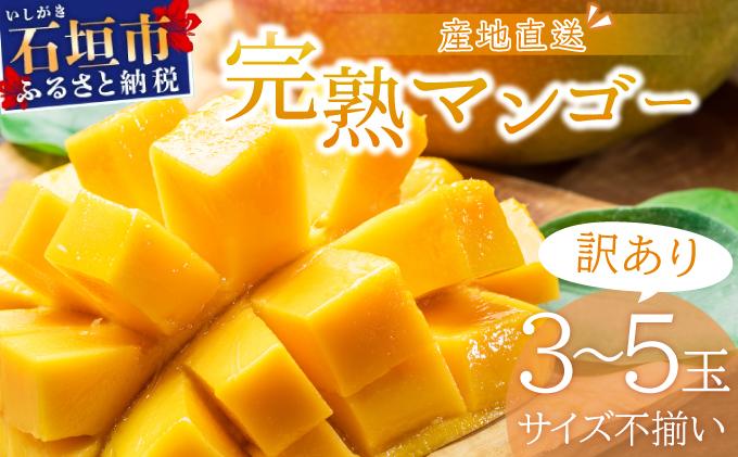 ＜先行予約＞【訳あり】マンゴー サイズ不揃い 3～5玉 (約1.5kg) ＜2026年7月上旬から発送＞ 訳あり品 マンゴー KP-27 3～5玉(1.5kg)　