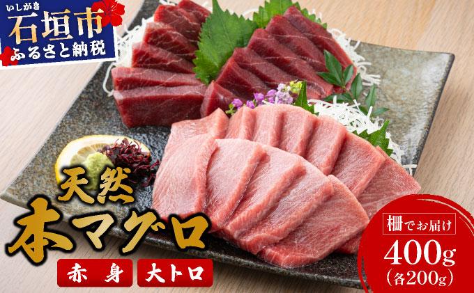 【数量限定】石垣島産 天然本マグロ 赤身 & 大トロ 約400g ヤエスイ マグロ船直送 ＜2025年6月下旬より発送＞ | 産地直送 大トロ 大とろ 国産 まぐろ 鮪 天然 赤身 魚 お刺身 本まぐろ マグロ 沖縄県 沖縄 琉球 八重山 八重山諸島 石垣島 石垣 石垣島産 <先行予約>赤身&大トロ約400g