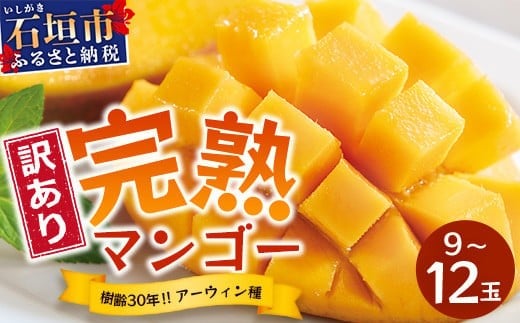 【訳あり】石垣島産 マンゴー (アーウィン種)  9～12玉(箱含め約5kg) 《樹齢30年の木で育ったマンゴー》｜産地直送 沖縄 石垣島 マンゴー  アーウィン マンゴー フルーツ TP-3 【訳あり】約5kg（9～12玉）