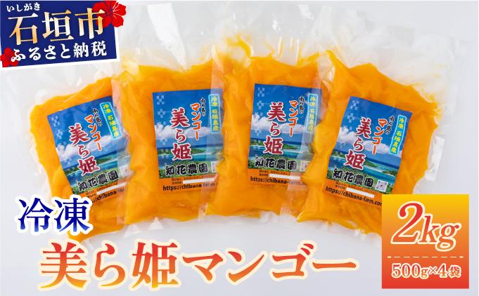 冷凍美ら姫マンゴー 2kg（500g×4袋）CB-4 2kg
