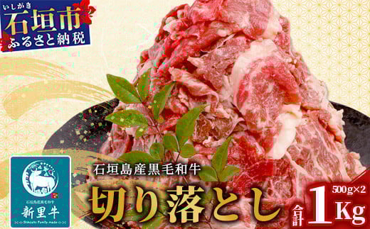 石垣島産 黒毛和牛 新里牛 多用途抜群！ 切落し (500g×2) 合計1kg SZ-12