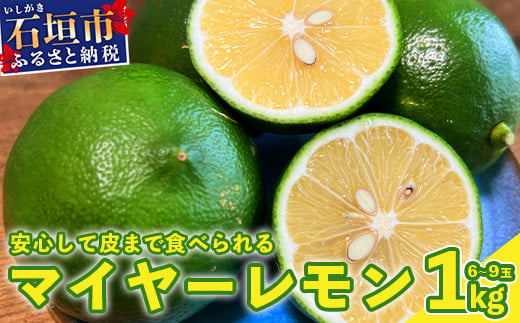 【先行予約】≪2026年8月以降順次発送≫こだわりの青切りマイヤーレモン 約1kg (6～9個) 【 沖縄 石垣 数量限定 フルーツ レモン マイヤー メイヤー こだわり 】TF-026 約1kg（6~9個）