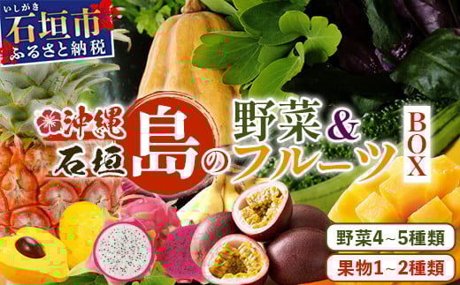 沖縄 石垣島 新鮮 島やさい・くだもの BOX 【 野菜・フルーツ 詰め合わせセット 】1箱 ≪お野菜4～5種類、フルーツ1~2種類≫ ｜沖縄 石垣島 産地直送 旬 果物 フルーツ 新鮮 島野菜 野菜セット 詰め合わせ CK-4 沖縄県 石垣島の野菜・フルーツBOX 1箱