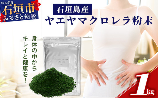 石垣島産ヤエヤマクロレラ粉末（1kg）AR-3【ヤエヤマクロレラ 健康 美容   石垣島産】