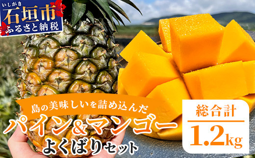 《2026年6月中旬以降発送》島の美味しいを詰め込んだ、パイン＆マンゴーのよくばりセット！【 沖縄県 石垣市 石垣島 完熟 パイン パイナップル スナック マンゴー セット 詰め合わせ 産地直送 】TF-24_R8