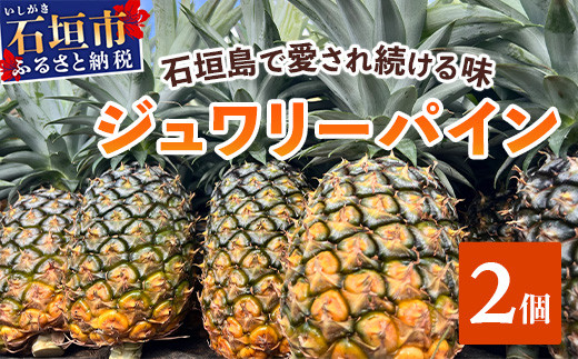【予約受付】《2026年5月下旬～7月中旬発送》最高糖度18度！？ 完熟の極 石垣島産ジュワリーパイン 【 沖縄県 石垣市 石垣島 完熟 パイン パイナップル ジュワリー 予約受付 】TF-16-1_R8