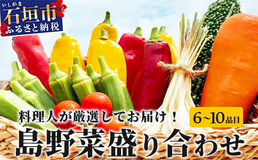 料理人が厳選した島野菜盛り合わせ (6～10品目) 【産地直送 野菜 野菜詰合せセット  やさい セット 詰め合わせ 冷蔵対応 沖縄県 石垣市 八重山 】TM-7
