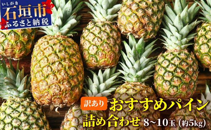 【訳あり】 石垣さんちのおすすめパイン詰め合わせ 8～10玉  (約5kg)《2026年4月中旬から順次発送》 TP-21