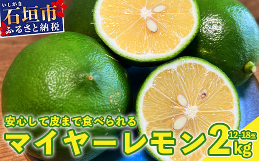 【先行予約】≪2026年8月以降順次発送≫ こだわりの青切りマイヤーレモン 約2kg (12～18個) 【 沖縄 石垣 数量限定 フルーツ レモン マイヤー メイヤー こだわり 】TF-027 約2kg（12~18個）