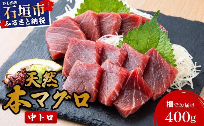 【数量限定】石垣島産 天然本マグロ 中トロ 約400g ヤエスイ ＜2025年6月下旬より発送＞ | 産地直送 中トロ 中とろ 国産 まぐろ 鮪 天然 赤身 魚 お刺身 本まぐろ マグロ 沖縄県 沖縄 琉球 八重山 八重山諸島 石垣島 石垣 石垣島産 <先行予約>中トロ約400g