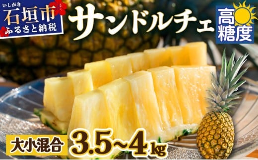 【先行予約】《2025年夏季 順次発送》【訳あり】石垣島産 サンドルチェパイン 約3.5～4kg【甘さ最高パインの「訳あり」の大小混合セット】【規格外】SI-28 訳あり大小混合 3～6個