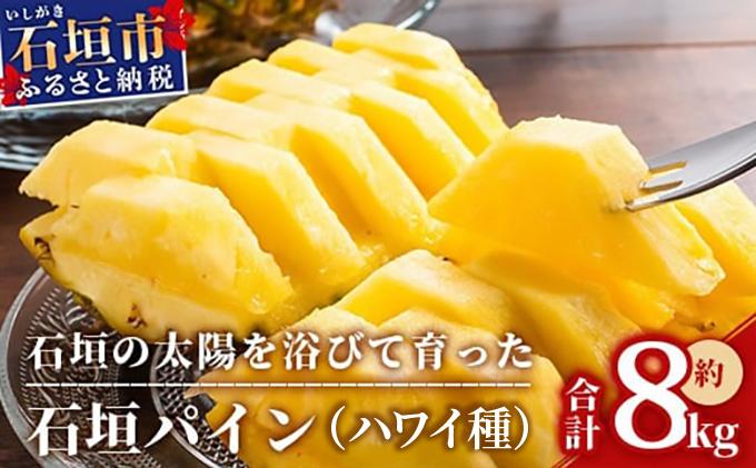 ＜先行受付＞石垣パイン ハワイ種 6個セット＜2026年7月上旬発送＞ | パイナップル パインアップル 石垣島パイン フルーツ 果物 くだもの 南国フルーツ 国産パイン MI-7-1 6個(約8kg)