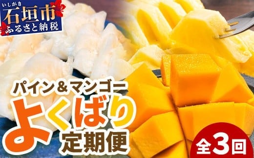《2026年5月～7月順次発送》【先行予約】島のおいしいを贅沢に！パイナップル2種とマンゴー1種のよくばり定期便【 沖縄 石垣 ピーチ マンゴー パイン パイナップル 完熟 セット フルーツ デザート 食べ比べ 定期便 】 TF-38_R8