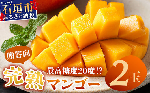 【先行予約】《2026年6月下旬～7月下旬発送》 最高糖度20度！？ 完熟の極！石垣島マンゴー 2玉約900g【贈答向け】【 産地直送 完熟マンゴー アーウィン マンゴー 沖縄 八重山 石垣島産 】TF-6-1_R8