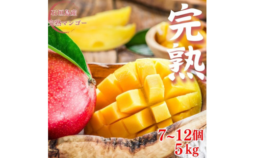 ＜先行予約＞ 石垣島産 完熟マンゴー 約5kg (7～12個入り) ＜2026年7月中旬以降発送＞ | 産地直送 沖縄 石垣 フルーツ マンゴー アップルマンゴー 完熟マンゴー SI-057