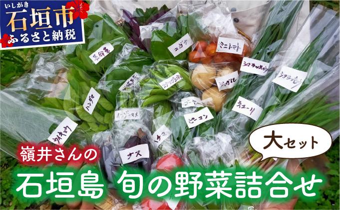 嶺井さんの石垣島旬の野菜詰合せ（大セット）OI-23 大セット