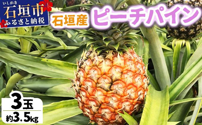 ＜先行予約＞ 農家直送！石垣島産 ピーチパイン 3個セット 約3kg ＜2026年3月下旬発送＞ | パイナップル パイン 沖縄県 石垣市 石垣島 南国 フルーツ 果物 季節限定 YE-001
