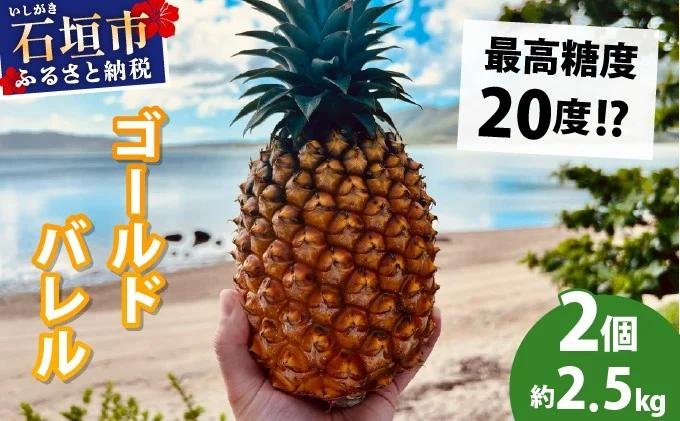 【先行予約2026年5月下旬順次発送】最高糖度20度！？石垣島産完熟ゴールドバレル 2玉 約2.5kg