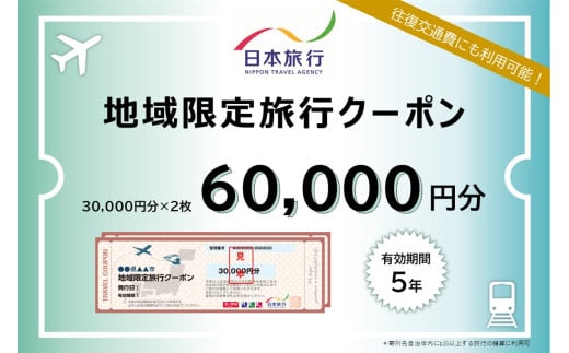 沖縄県石垣市　地域限定旅行クーポン60,000円分　【 日本旅行 トラベルクーポン 納税チケット 旅行 宿泊券 ホテル 観光 旅行 旅行券 交通費 体験 宿泊 夏休み 冬休み 家族旅行 ひとり旅 カップル 夫婦 親子 石垣島旅行 】NR-2