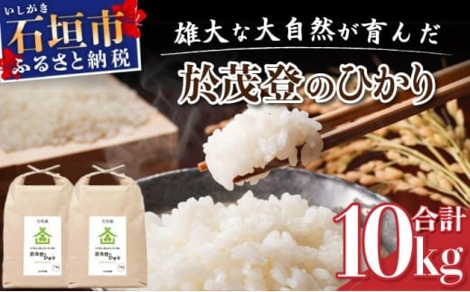 石垣島産 於茂登(おもと)のひかり 10kg みやぎ米屋【 日本一早い新米の産地 石垣 米 お米 産地直送 旬 しきゆたか 沖縄県 石垣市 】MK-2 