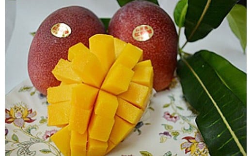 ＜先行予約＞石垣島産マンゴー(アーウィン種) 4～5玉 約2kg | マンゴー アップルマンゴー 沖縄県 IF-2 4～5玉 約2kg