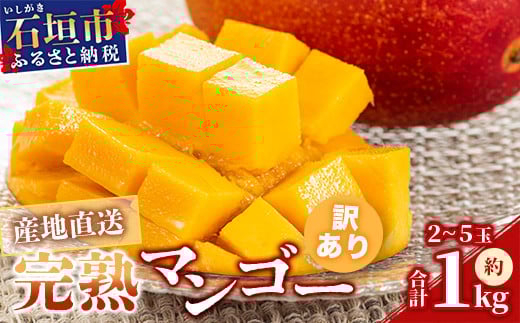 ＜先行予約＞【訳あり】 完熟 マンゴー (約1〜1.2kg 2〜5個)《2026年7月上旬から順次発送》 | ふるさと納税 マンゴー わけあり 不揃い 産地直送 フルーツ 果物 マンゴー 石垣 沖縄 KP-013