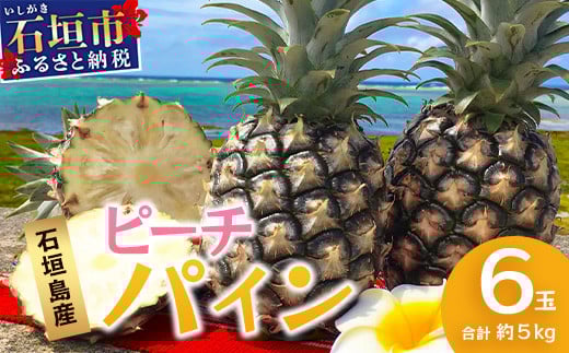 【先行予約】 《2026年5月上旬頃より順次発送》石垣島産 ピーチパイン (6玉 約5㎏)【 産地直送 沖縄 石垣 パイナップル フルーツ 】 TP-12 6玉　約5kg