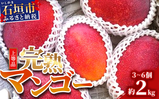 石垣島産・完熟マンゴー 約２kg エコ箱入り （3～6個入り）