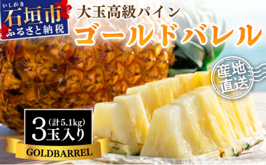 ＜先行予約＞ 石垣島産 ゴールドバレルパイン 大玉3個入り 約5.1kg ＜2026年7月以降発送＞ | 産地直送 沖縄 石垣 フルーツ パイナップル パイン ゴールドバレルパイン SI-40 【大玉】3玉入り(計約5.1kg)