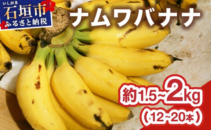 ≪2026年4～10月順次発送≫ 石垣島産 希少な国産『ナムワバナナ』を贅沢に1房丸ごと約1.5-2kg（12-20本） TF-102_R8 約1.5-2kg（12-20本）