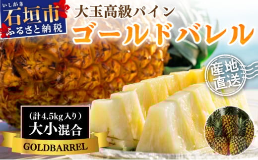 ＜先行予約＞【訳あり】石垣島産 ゴールドバレルパイン 大小混合セット 約4.5kg ＜2026年7月以降発送＞ | 産地直送 沖縄 石垣 フルーツ パイナップル パイン ゴールドバレルパイン【規格外】SI-7-1 【訳あり】混合セット(約4.5kg)